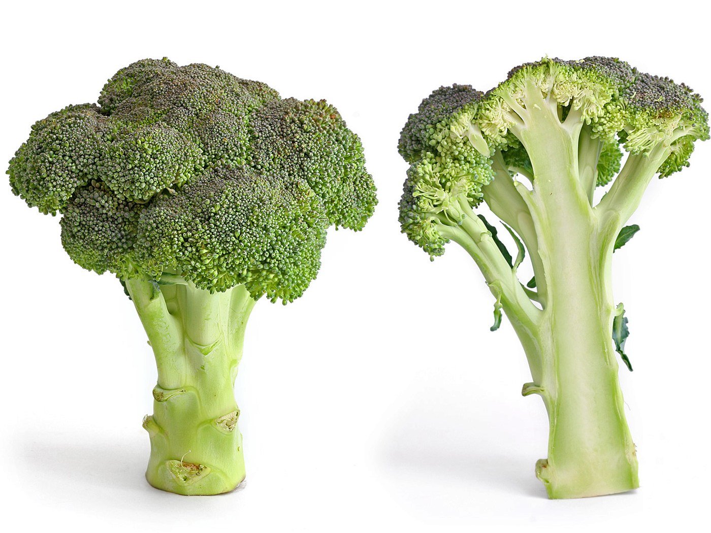 IQF Broccoli