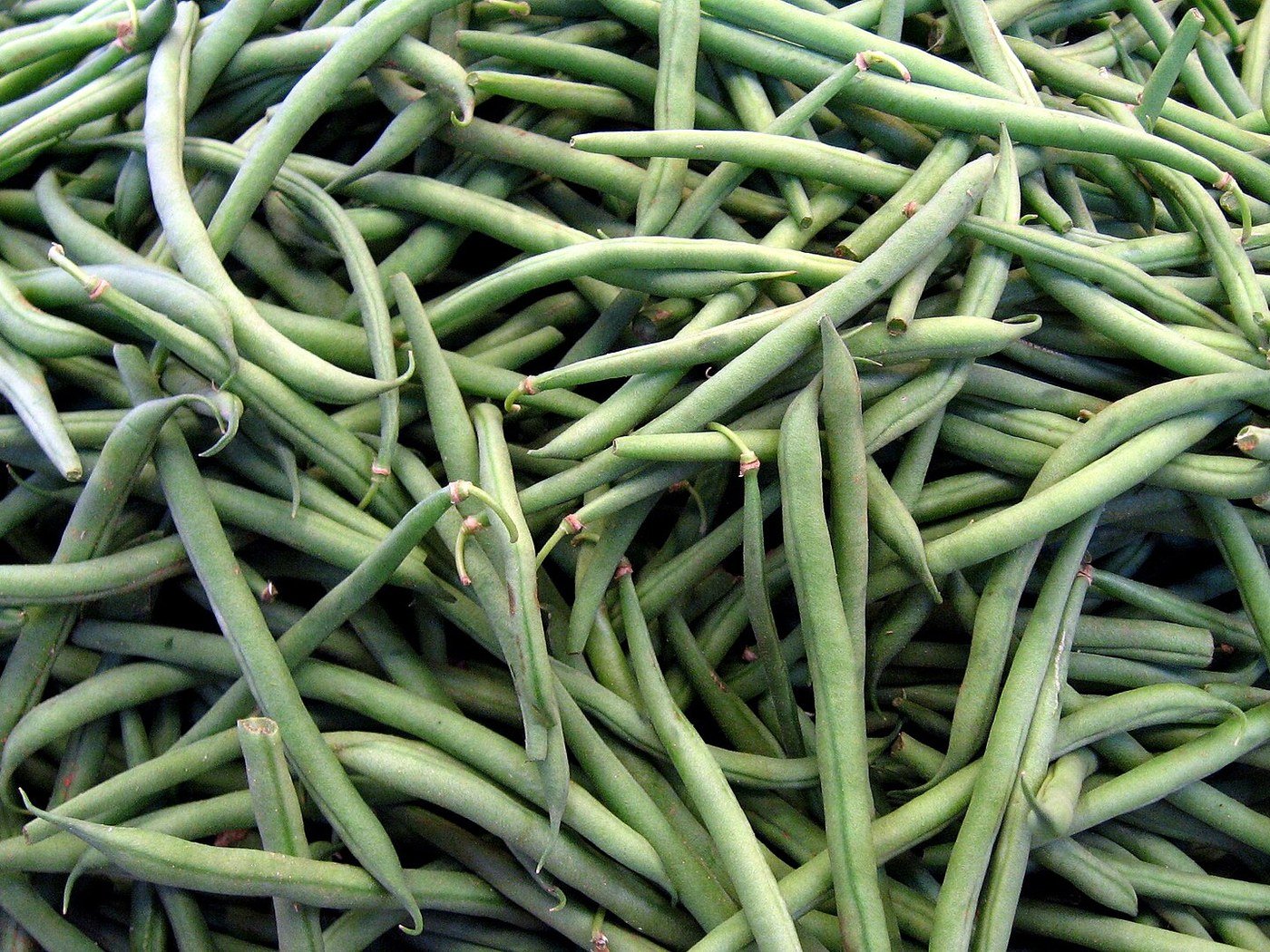Green Beans