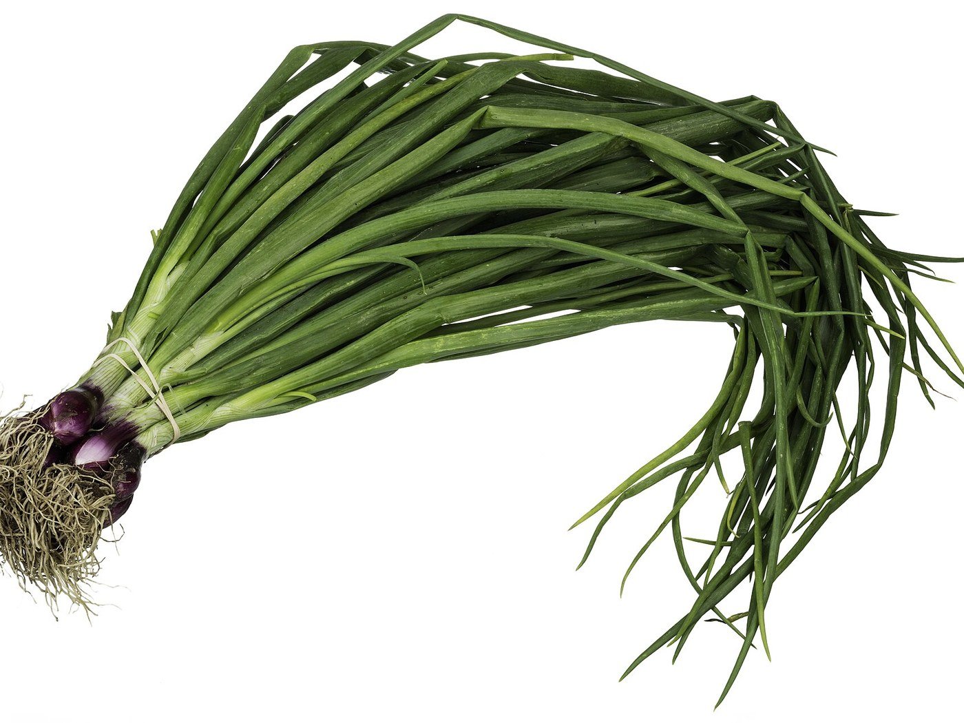 Spring Onions